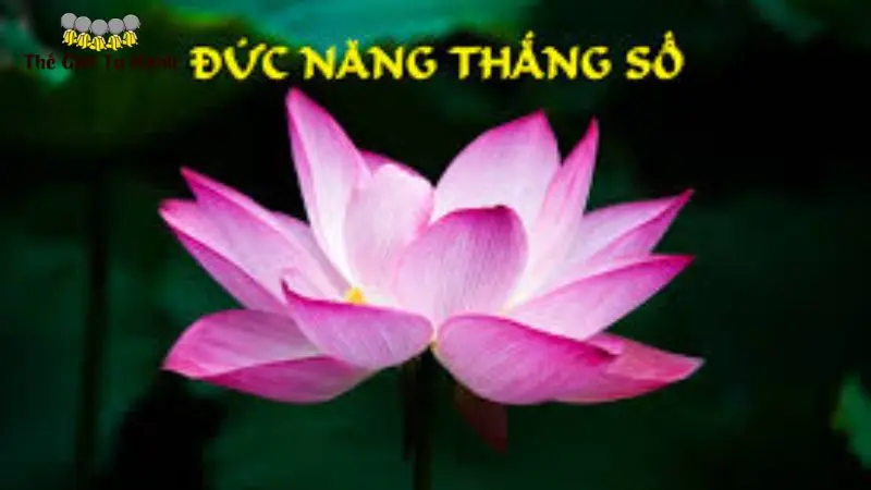 Hình ảnh minh họa Đức Năng Thắng Số Nghĩa Là Gì (Đức Năng Thắng Số Nghĩa Là Gì)