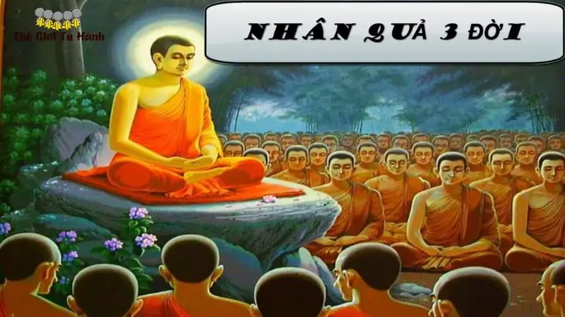 Hình ảnh minh họa Kinh Nhân Quả 3 Đời (Kinh Nhân Quả 3 Đời)